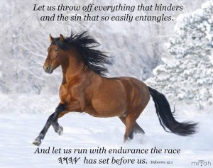 YHWH endurance the race YHWH has set before us